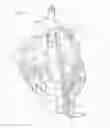 Fig. 10 - Ventricular assist device for intraventricular placement