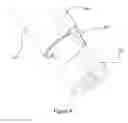 Fig. 07 - Automatic injection device