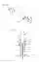 Fig. 14 - Method and apparatus for delivering a therapeutic substance through an injection port