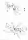 Fig. 09 - FACIAL INTERFACE AND HEADGEAR SYSTEM FOR USE WITH VENTILATION AND POSITIVE AIR PRESSURE SYSTEMS