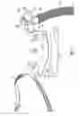 Fig. 12 - FACIAL INTERFACE AND HEADGEAR SYSTEM FOR USE WITH VENTILATION AND POSITIVE AIR PRESSURE SYSTEMS