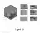 Fig. 14 - Nanosecond pulsed electric fields cause melanomas to self-destruct