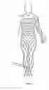 Fig. 04 - System for decreasing the blood flow of a targeted organ's artery with an electrical stimulation