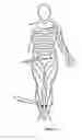Fig. 05 - System for decreasing the blood flow of a targeted organ's artery with an electrical stimulation