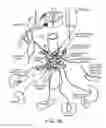 Fig. 03 - Treating inflammation, chronic pain and other disorders with neuromodulation