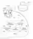 Fig. 01 - Mobile applications and methods for conveying performance information of a cardiac pacemaker