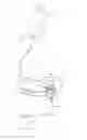 Fig. 01 - Fluid adapter and fluid coupling