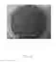 Fig. 03 - PM 2.5 mask