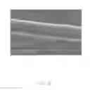 Fig. 09 - PM 2.5 mask