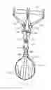 Fig. 06 - Exercise device for supporting weight from hand grips using straps