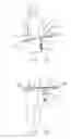 Fig. 09 - Exercise device for supporting weight from hand grips using straps
