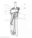 Fig. 01 - Ascender for ascending on a rope