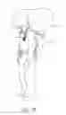 Fig. 05 - Airbag rescue system and triggering device therefor