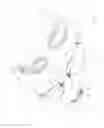 Fig. 02 - SWIMMING GOGGLES
