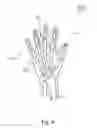 Fig. 05 - Glove