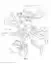 Fig. 05 - Simulated Walking Toy
