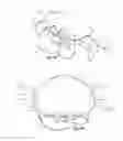 Fig. 06 - Simulated Walking Toy