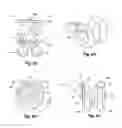 Fig. 08 - Simulated Walking Toy