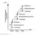 Fig. 08 - Carbon dioxide capture apparatus