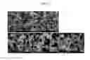 Fig. 06 - APPARATUS FOR MANUFACTURING Si-BASED NANO-PARTICLES USING PLASMA