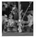 Fig. 01 - ABSORBENT MEDIUM FOR ISOLATION OF BIOLOGICAL MOLECULES AND METHOD FOR SYNTHESIZING SAME