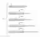 Fig. 08 - MOLECULAR DIAGNOSTIC DEVICES WITH MAGNETIC COMPONENTS