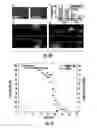 Fig. 20 - Microfluidic devices for the rapid and automated processing of sample populations