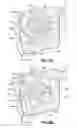 Fig. 11 - System, nozzle and method for coating elastic strands