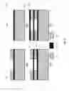 Fig. 03 - Capacitive micromachined ultrasonic transducer with multiple deflectable membranes