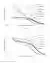 Fig. 06 - Quantum Levitation for Permanent Superlyophobic and Permanent Self-Cleaning Materials