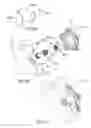 Fig. 09 - Indexable cutting insert and cutting tool therefor