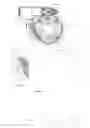 Fig. 07 - TOOL QUICK CHANGING DEVICE