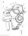 Fig. 09 - Cutting apparatus