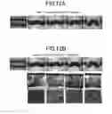Fig. 09 - Composite metal sheet