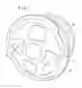 Fig. 02 - Tractor/trailer wheel cover