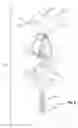 Fig. 04 - Continously adaptive fastener clip