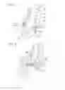 Fig. 02 - Four-point seat belt device