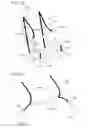Fig. 19 - Four-point seat belt device