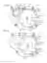Fig. 06 - Belt retractor