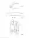 Fig. 06 - STREAMLINED FLAT WINDSCREEN WIPER