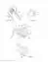 Fig. 24 - STREAMLINED FLAT WINDSCREEN WIPER