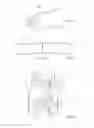 Fig. 06 - Streamlined flat windscreen wiper