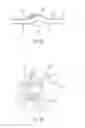 Fig. 27 - Streamlined flat windscreen wiper