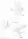 Fig. 22 - STREAMLINED FLAT WINDSCREEN WIPER