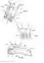 Fig. 33 - STREAMLINED FLAT WINDSCREEN WIPER