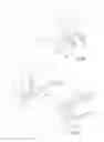 Fig. 22 - Streamlined flat windscreen wiper