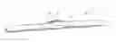 Fig. 01 - Streamlined flat windscreen wiper