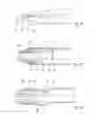 Fig. 09 - Streamlined flat windscreen wiper