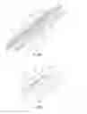 Fig. 28 - Streamlined flat windscreen wiper