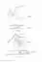 Fig. 04 - STREAMLINED FLAT WINDSCREEN WIPER